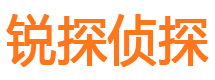 桦川侦探公司